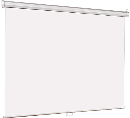 Экран настенно-потолочный для проектора Lumien 200x200см Eco Picture LEP-100103 1:1