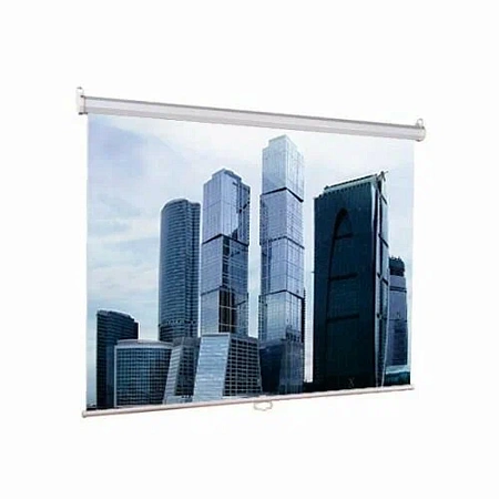 Экран настенно-потолочный для проектора Lumien 160x160см Eco Picture LEP-100105 1:1